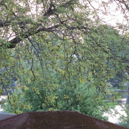 公寓 Fischerhaus Am 柏林