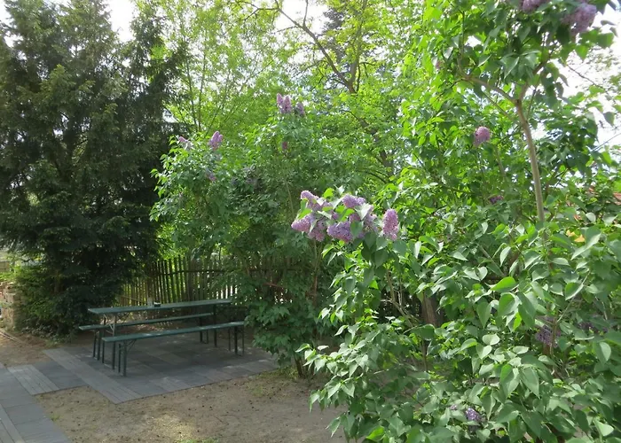 Fischerhaus Am Apartman *